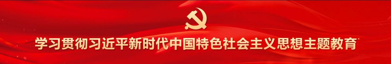 精彩“篮”不住 ｜ 2025年校..